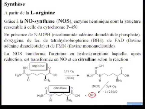 Vidéo: Comment augmenter les niveaux d'oxyde nitrique : 8 étapes (avec photos)