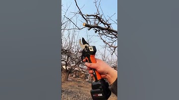 Multi-function cutting scissors #short M149