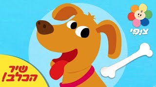 שיר הכלב - ללמוד ולאהוב חיות עם שירים לילדים בעברית | טלוויזיה חינוכית לגיל הרך בחינם |  ערוץ צופי