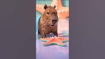 Capy vs. the Early Reflection ✨ #capybara #cute #loop #magic