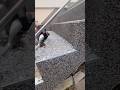 What a mastery of work! 😍🛠️ #construction #constructionwork #shortsfeed #satisfying