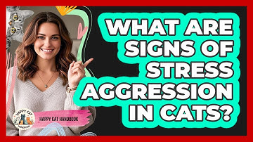 What Are Signs Of Stress Aggression In Cats?