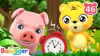 Hickory Dickory Dock & Shape Song + More Animal Songs & Nursery Rhymes | Songs for Kids | BabyTiger