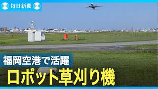 福岡空港で仕事に励む白いロボット草刈り機