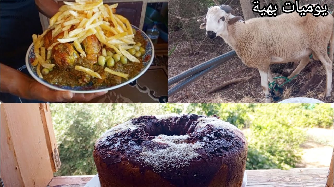 الفراش الجديد في البادية وجمال الطبيعة اللي يا سلام مع جماعة العائلة 👌