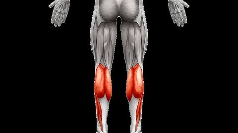 Seated calf workout_ Part2 | Calf Workout at home | Intense 5 Exercises At Home Calf Workout