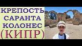 Орхидеи,узамба́рские фиалки,Самара🌺