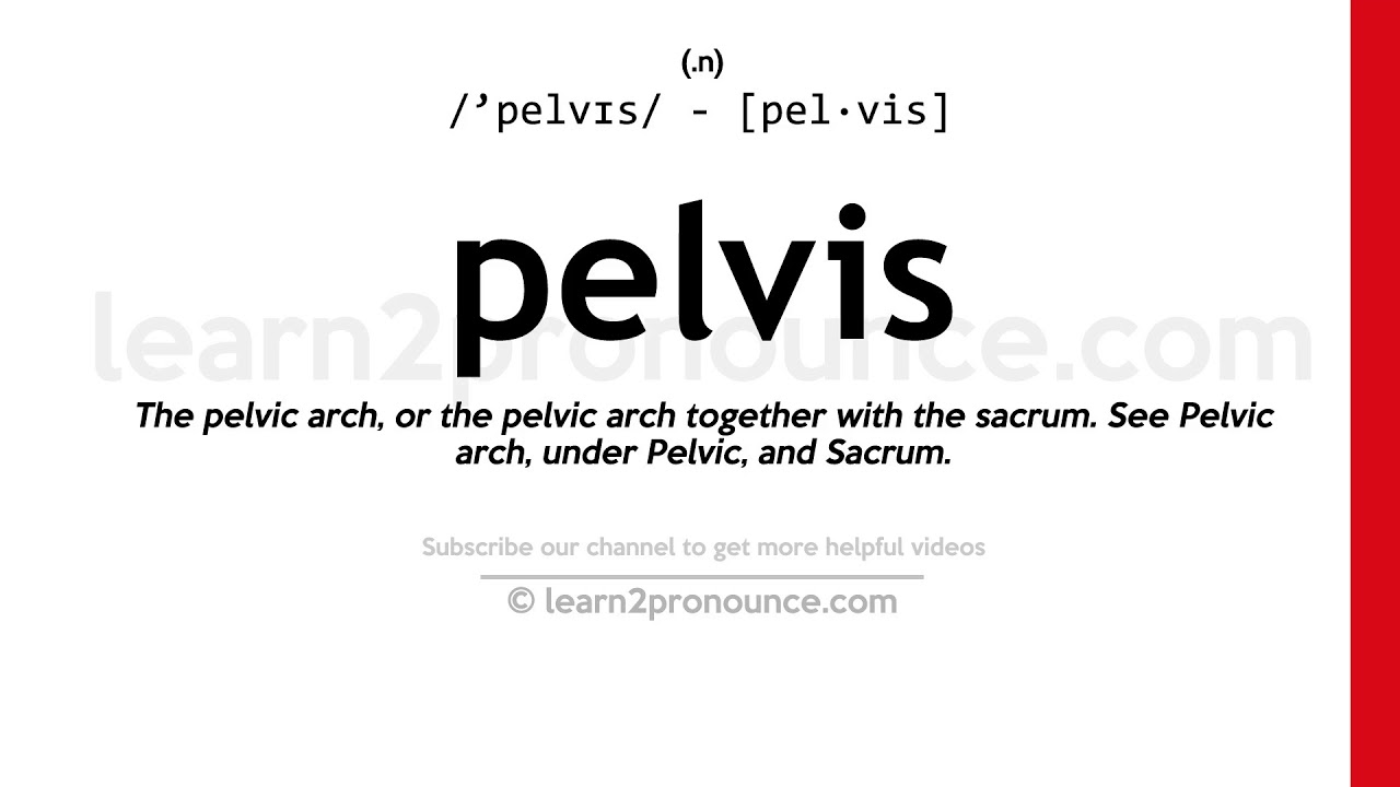 How Do You Pronounce Renal Pelvis at Doris Lee blog