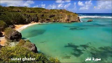 سورة غافر     بصوت سعود الشريم         … saud ashshorim  surat ghafer