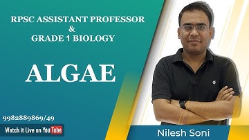 Algae introduction | Nilesh Soni