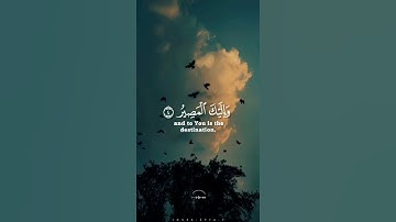القرآن الكريم تلاوة تريح القلب 💞💖💖