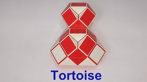 Make a Tortoise 🐢 with Snake Cube