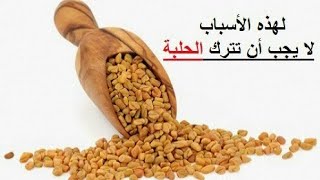 فواءد الحلبة لطيور الحسون والكناري ( طريقة الاستعمال)