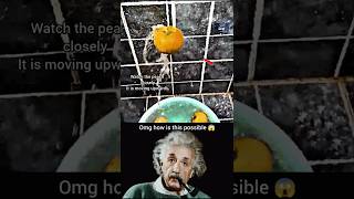 Can someone tell me if this is actually real? 🤔😱 #physics #sigmaphysics #shortsviral #viral