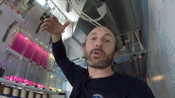 Delightful Diluter Descriptions from CPW