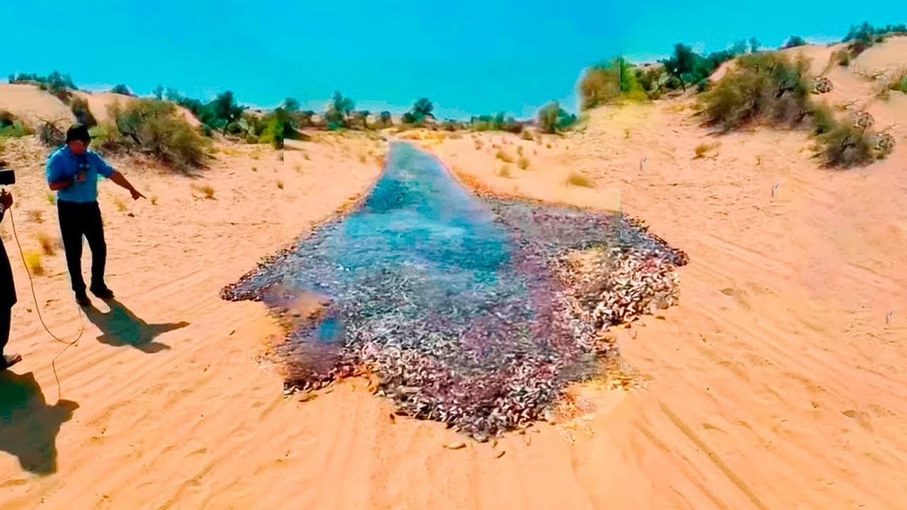 Incredible Moments Caught On Camera #12 | Best Of The Month