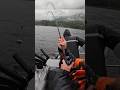 Corkscrew Coho! #alaska #salmon #fishing #juneau #salmonfishing #cohosalmon #shorts