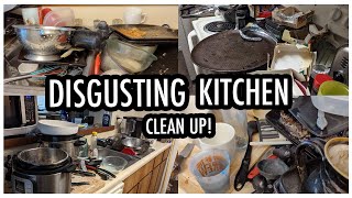 HOARDER HOUSE KITCHEN CLEAN UP! | Depression House Makeover Ep. 6 - The Kitchen!