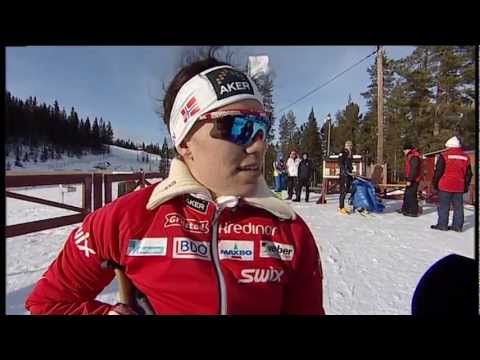 Cross-country skiing long distance sitting - 2013 IPC Nordic Skiing World Championships Solleftea