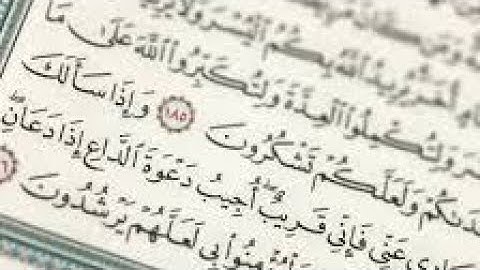 تلاوة رائعة لآيات بينات من سورة المنافقين Sourate AL-MUNAFIQOUN