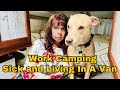 Vanlife living solo female 50   sick and living in a van while work camping  ep 85