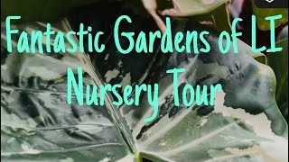A Visit to the Fantastic Gardens of LI Nursery 😃🪴🌵🌺 