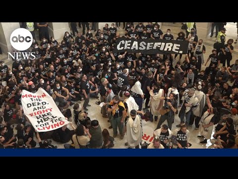 Protesters on Capitol Hill call for Gaza ceasefire