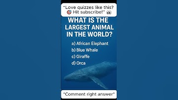 🧠 Quick Quiz: Can You Spot the Hidden Clue? 🐋🤔 🔥 #BrainBuzz #dailyquiz #funfacts #dailytrivia