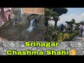 Aaye ghumte hai srinagar chashme shahi garden day 1 garden chashmeshahi gulafshaaqeel