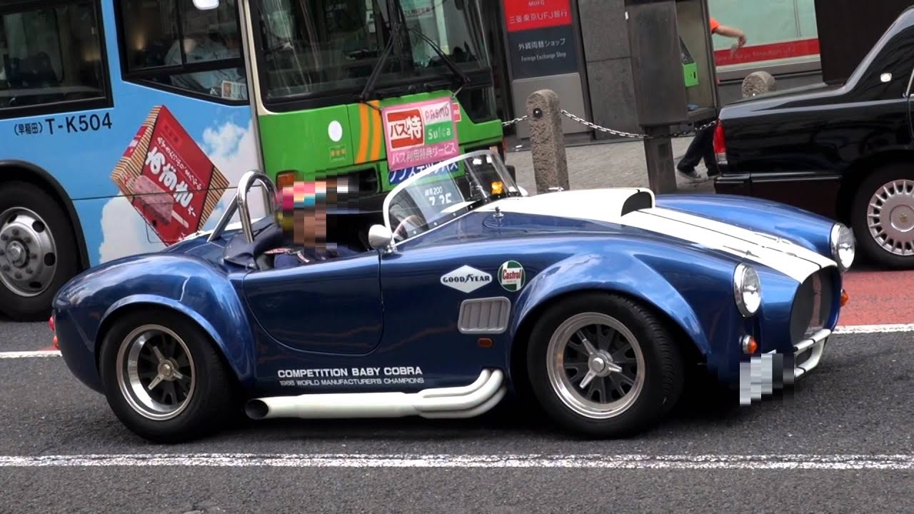 ベビーコブラ The Replica Of The Cobra Youtube