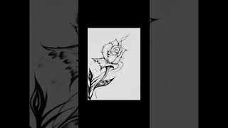 One Rose Is Enough For The Dawn