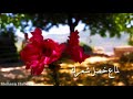 بخاف عليكي من هالكون دهب وفيق حبيب حالات بخاف عليكي من هالكون دهب وفيق حبيب حالات