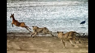 Recorder Trio: Fugue 14