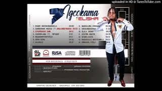 igcokama 2013 song sibiza abadlwane