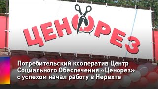 Магазин Ценорез В Ярославле Цены Магазин Ценорез В Ярославле Цены