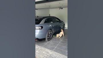 Who wants to take a (remote parking-) ride with Barkley in the VW ID.7 Tourer? 🐶🅿️
