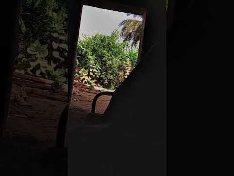 أنا كده كده مبسوط 70