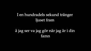 Video-Miniaturansicht von „Den svenska björnstammen - mörkt kallt ljus lyrics“