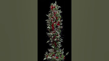 KORE - made in blender 2.93 using geometry nodes