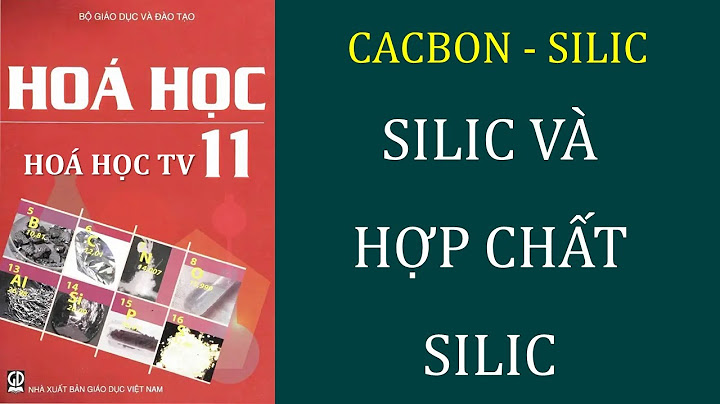 Silic dioxit không tan được trong chất nào