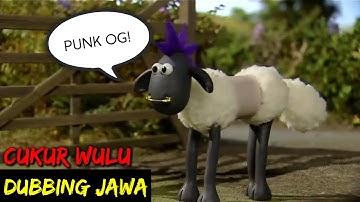 DUBBING JAWA SHAUN THE SHEEP (cukur wulu)