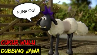DUBBING JAWA SHAUN THE SHEEP (cukur wulu)