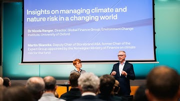 Perspectives on managing climate and nature risk as a financial investor