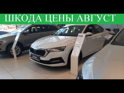 Шкода доп про