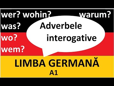 Limba Germana pentru incepatori | Adverbe interogative (intrebari)