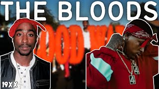 The Story Of The Bloods