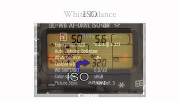 Introduction to Shooting with the 7D