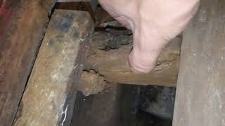 Timber decay