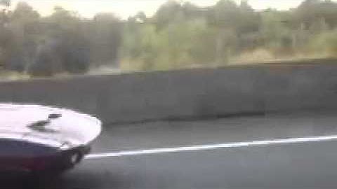 Pantera on freeway 2