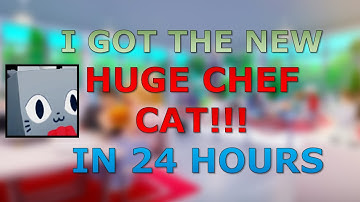 I GOT THE NEW HUGE CHEF CAT IN 24 HOURS!!!